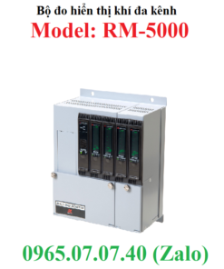 Bộ đo hiển thị kết nối đầu dò nồng độ khí đa kênh RM-5000 RKI