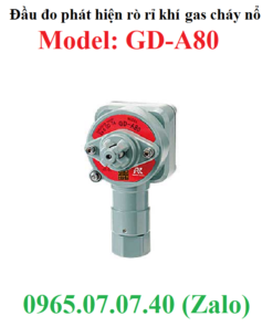 Đầu đo phát hiện rò rỉ khí gas cháy nổ GD-A80 RKI